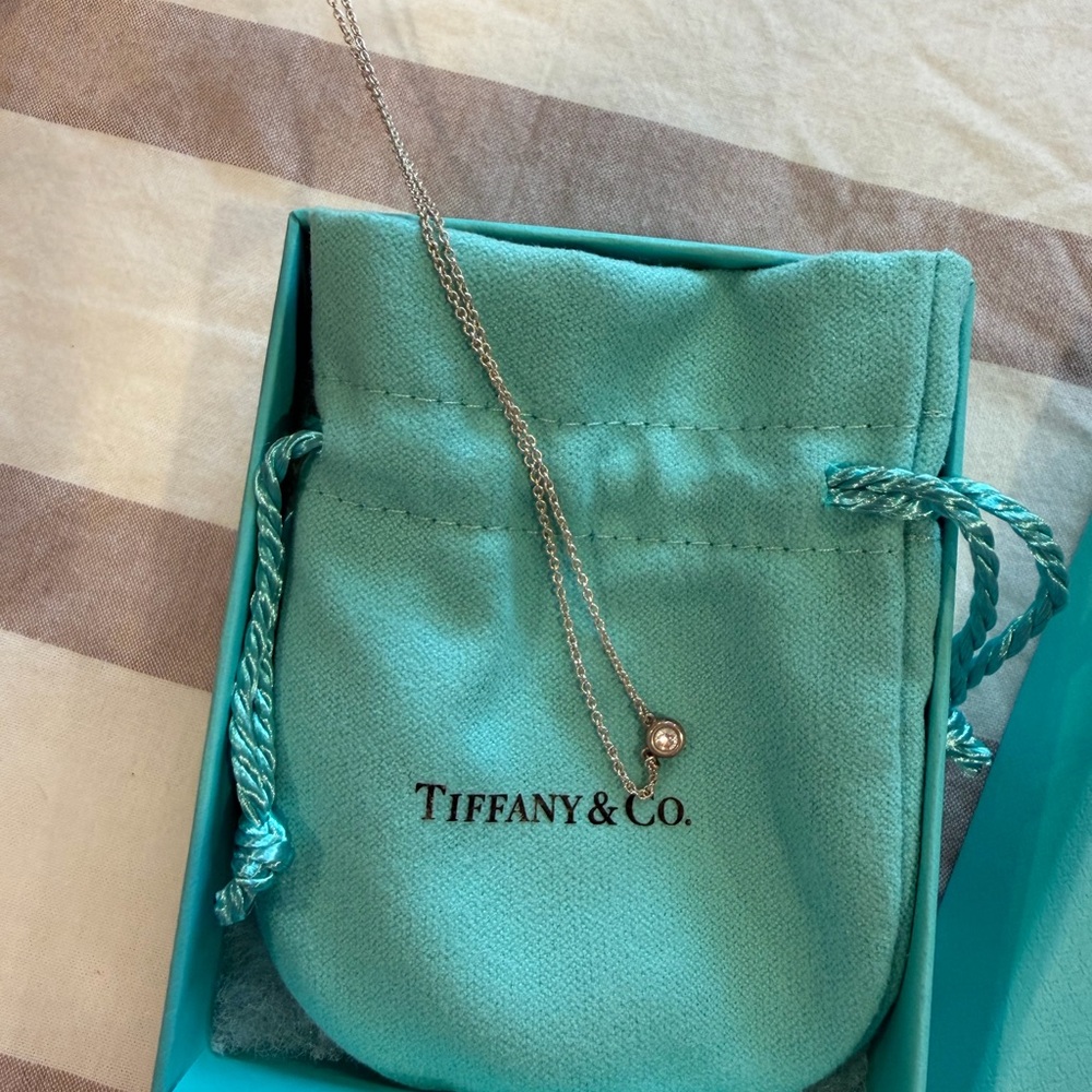 Tiffany & Co. Elsa Peretti Diamonds by the Yard Single Diamond Pendant in Silver